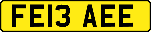 FE13AEE