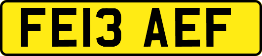 FE13AEF