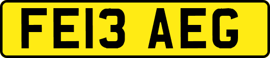 FE13AEG