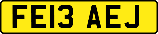 FE13AEJ