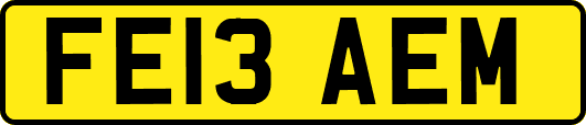 FE13AEM