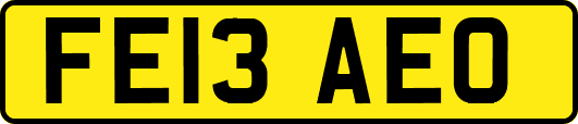 FE13AEO