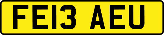 FE13AEU