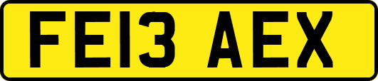 FE13AEX