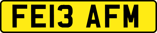 FE13AFM
