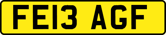 FE13AGF