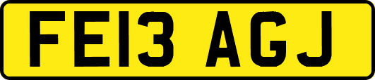 FE13AGJ