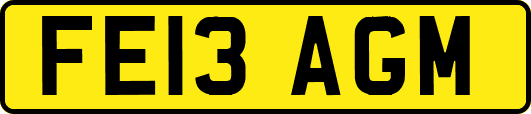 FE13AGM