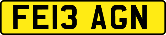 FE13AGN