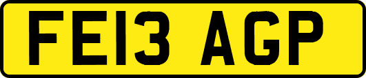 FE13AGP
