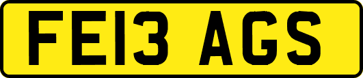FE13AGS