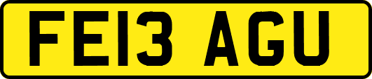 FE13AGU