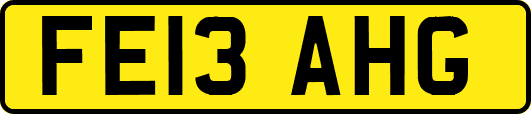 FE13AHG