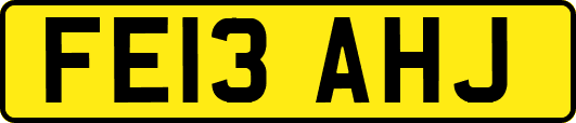 FE13AHJ
