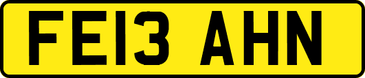 FE13AHN