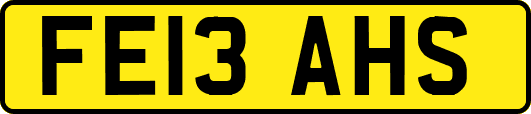 FE13AHS