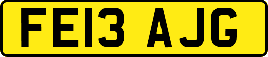 FE13AJG