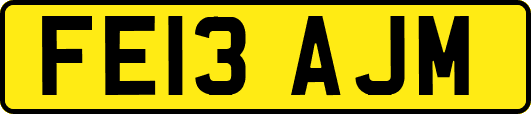 FE13AJM