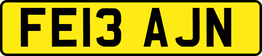 FE13AJN