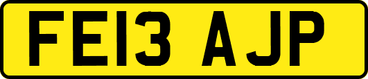 FE13AJP