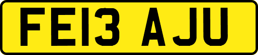 FE13AJU