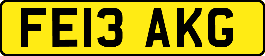 FE13AKG
