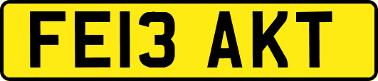 FE13AKT