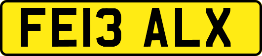 FE13ALX