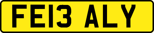 FE13ALY