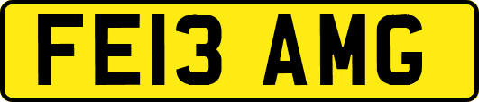 FE13AMG