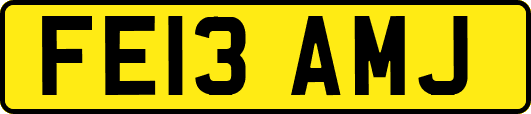 FE13AMJ