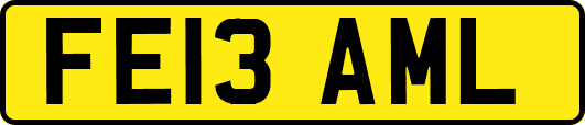 FE13AML