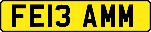 FE13AMM