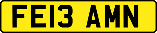 FE13AMN