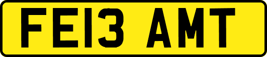 FE13AMT