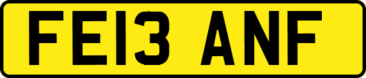 FE13ANF