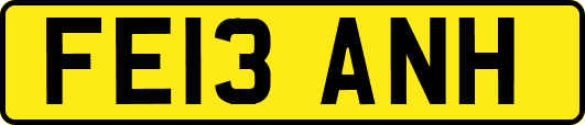FE13ANH