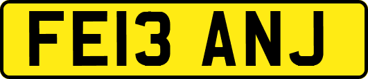 FE13ANJ