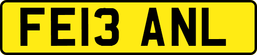 FE13ANL