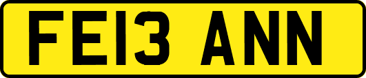 FE13ANN