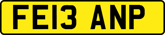 FE13ANP