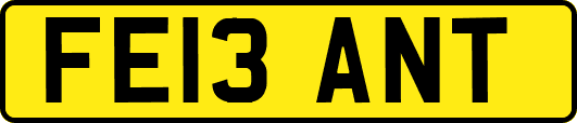 FE13ANT