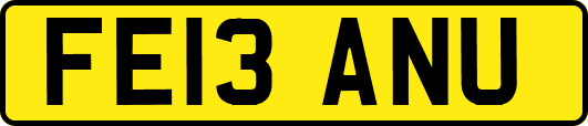 FE13ANU