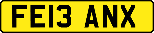 FE13ANX