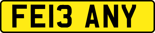 FE13ANY