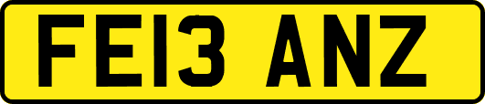 FE13ANZ