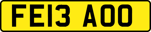 FE13AOO