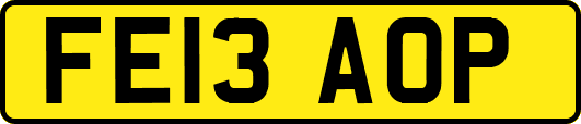 FE13AOP