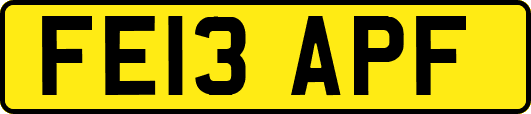 FE13APF