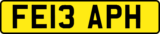 FE13APH
